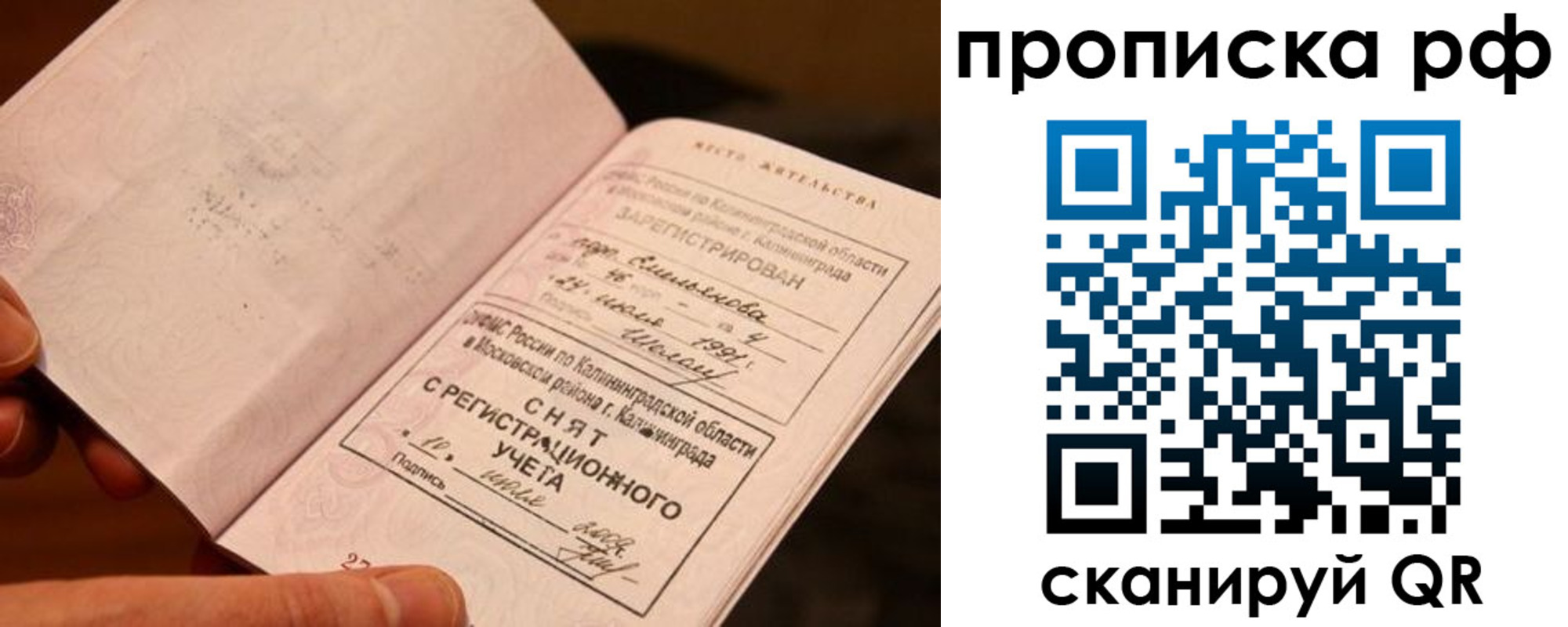 прописка гарантия в Петрозаводске